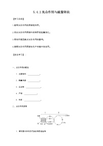 人教版 (2019)二 光合作用的原理和应用学案