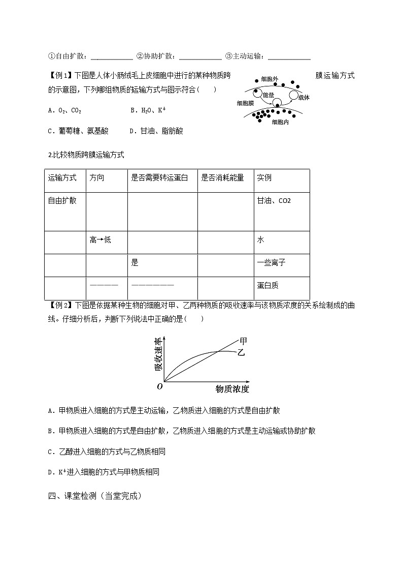 高中生物必修一 学案第四章第2节主动运输第3页