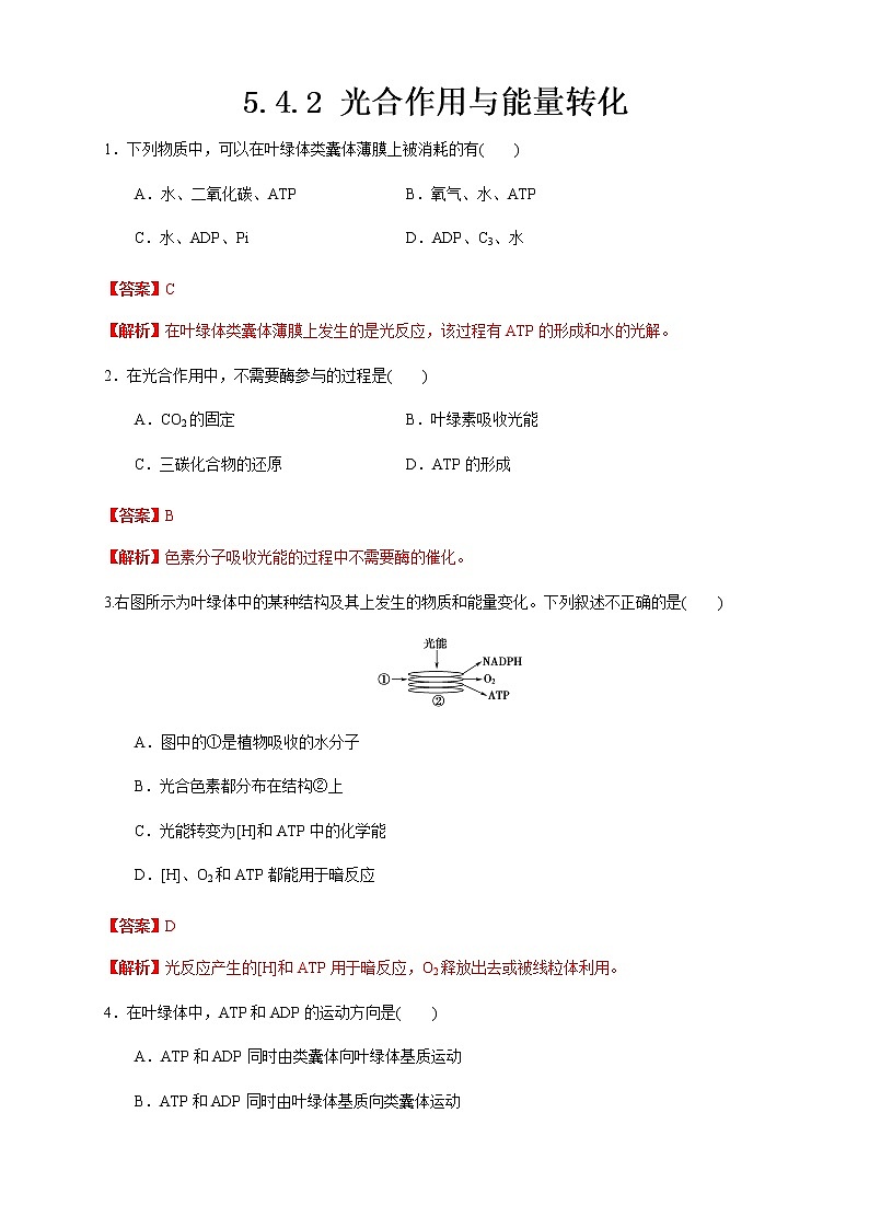 高中生物必修一 5.4.2 光合作用与能量转化 练习（含答案）第1页