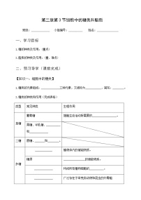 人教版 (2019)必修1《分子与细胞》第3节 细胞中的糖类和脂质综合训练题