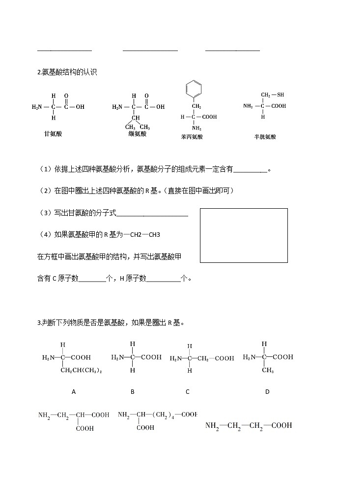 高中生物必修一 学案第二章第4节1蛋白质是生命活动的主要承担者第3页