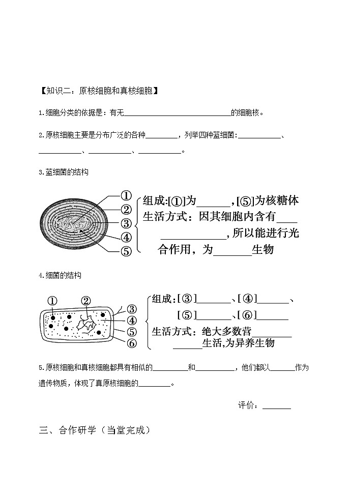 高中生物必修一 学案第一章第2节细胞的多样性和统一性02