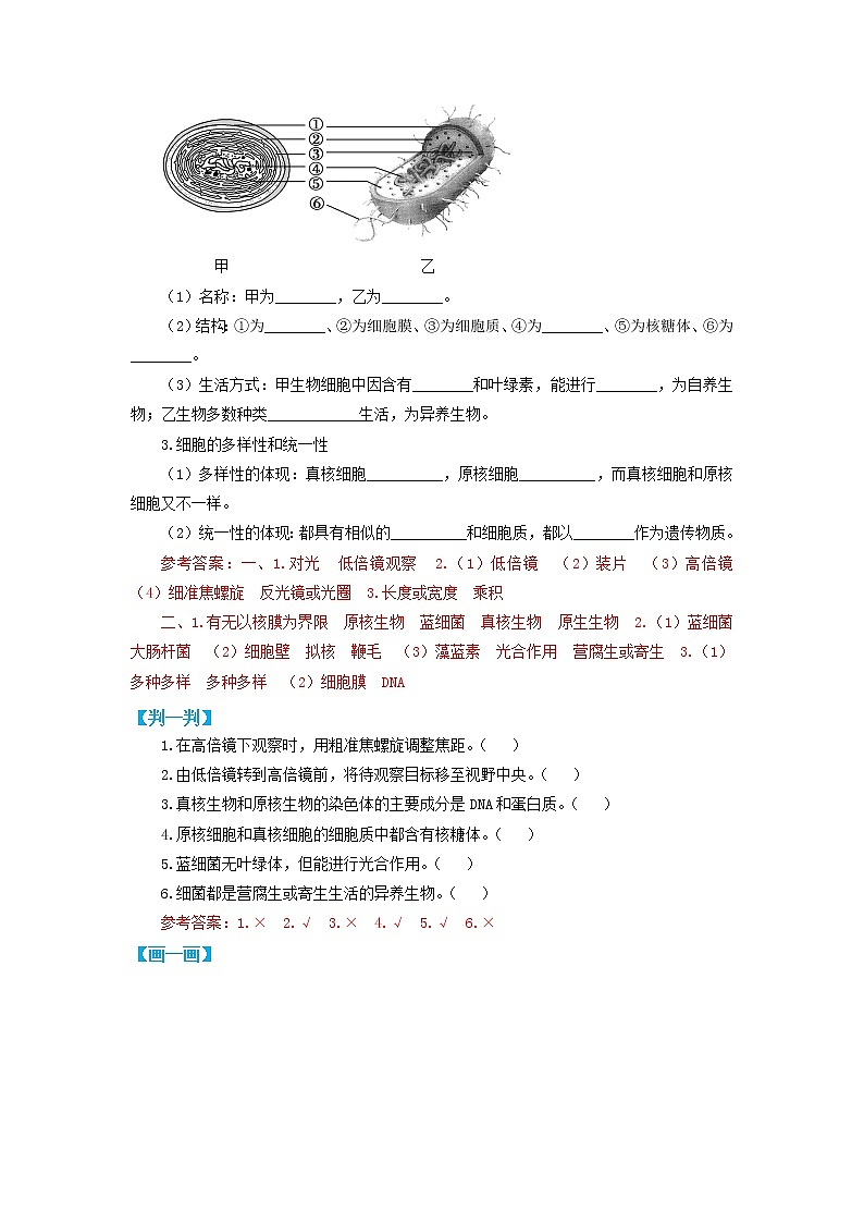 高中生物必修一 第02讲 细胞的多样性和统一性-2021-2022学年高一生物上学期同步精品讲义第2页