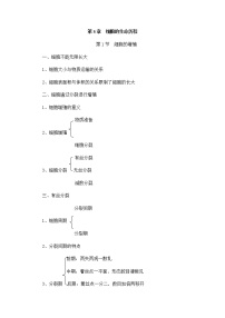 高中生物人教版 (2019)必修1《分子与细胞》第6章 细胞的生命历程第1节 细胞的增殖巩固练习