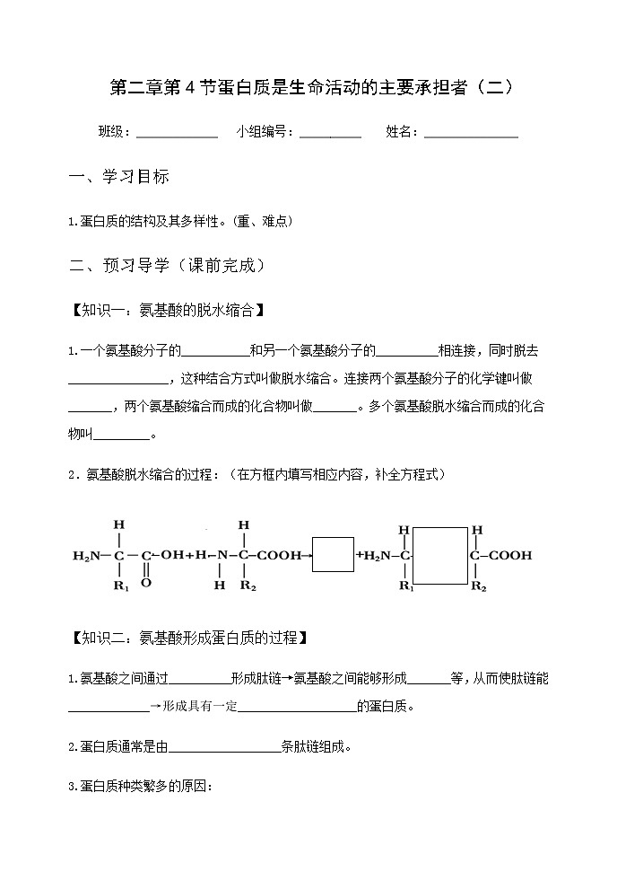 高中生物必修一 学案第二章第4节2蛋白质是生命活动的主要承担者第1页
