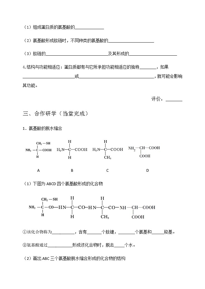 高中生物必修一 学案第二章第4节2蛋白质是生命活动的主要承担者第2页
