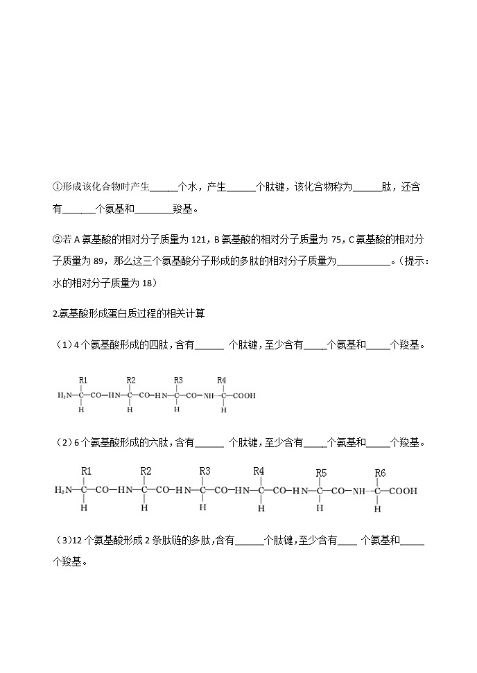 高中生物必修一 学案第二章第4节2蛋白质是生命活动的主要承担者第3页