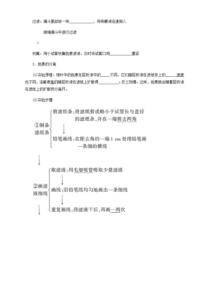 高中生物必修一 5.4.1 光合作用与能量转化 导学学案第2页