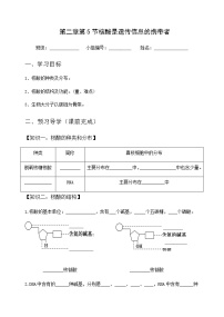 高中生物人教版 (2019)必修1《分子与细胞》第5节 核酸是遗传信息的携带者当堂检测题