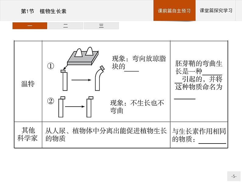 高中生物选择性必修一   第5章　第1节　植物生长素第5页