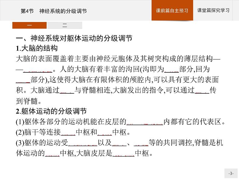 高中生物选择性必修一   第2章　第4节　神经系统的分级调节 课件03