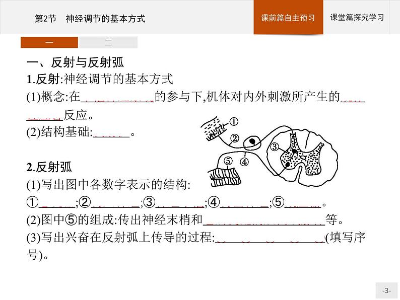 高中生物选择性必修一   第2章　第2节　神经调节的基本方式 课件03