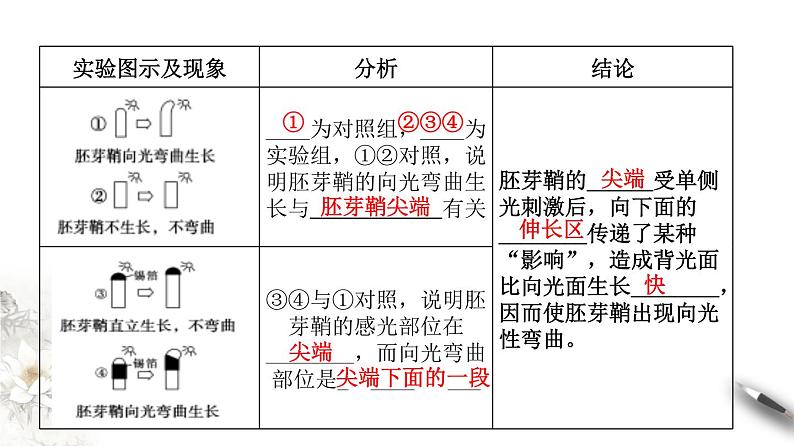 高中生物选择性必修一   5.1.1 植物生长激素（课件）上学期学同步精品课堂（共24张）第6页