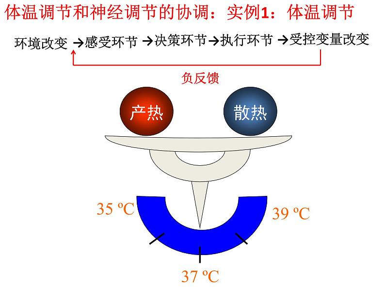 高中生物选择性必修一   3.3 体液调节与神经调节的关系 课件(共35张)第4页