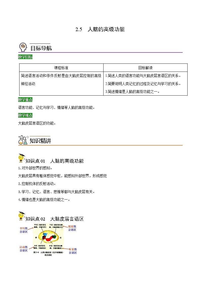 高中生物选择性必修一   2.5 人脑的高级功能（含答案）(同步精品讲义01