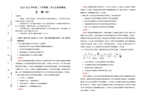 生物选择性必修3第2章 细胞工程科技探索之路 细胞工程的发展历程巩固练习