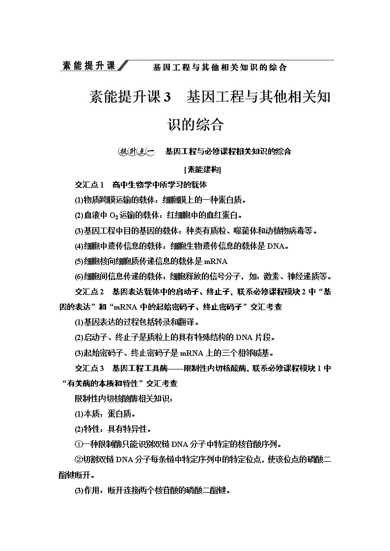 高中生物选择性必修三  第3章 素能提升课 基因工程与其他相关知识的综合 讲义01