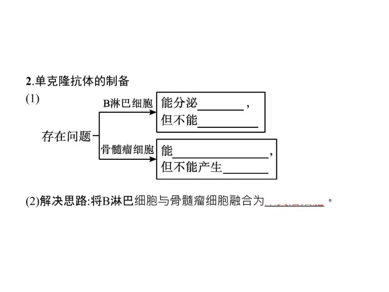 高中生物选择性必修三  第2章　第2节　二　动物细胞融合技术与单克隆抗体 课件07