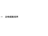 高中生物选择性必修三  第2章　第2节　一　动物细胞培养 课件