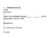 高中生物选择性必修三  第2章　第2节　一　动物细胞培养 课件