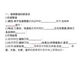 高中生物选择性必修三  第2章　第1节　二　植物细胞工程的应用 课件