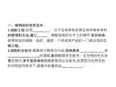 高中生物选择性必修三  第2章　第1节　一　植物细胞工程的基本技术 课件