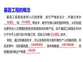 高中生物选择性必修三  3.1DNA重组技术的基本工具 课件