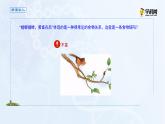 高中生物选择性必修二 课件 3.1.2食物链和食物网-高中生物学选择性必修2（新教材同步课件）