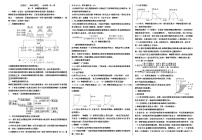 高中生物选择性必修二 知识点 总结