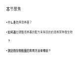 高中生物选择性必修三  1.2 微生物的培养技术及应用（第二课时） 课件
