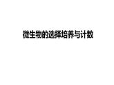 高中生物选择性必修三  1.2 微生物的培养技术及应用（第二课时） 课件