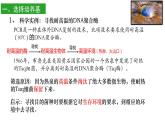 高中生物选择性必修三  1.2 微生物的培养技术及应用（第二课时） 课件