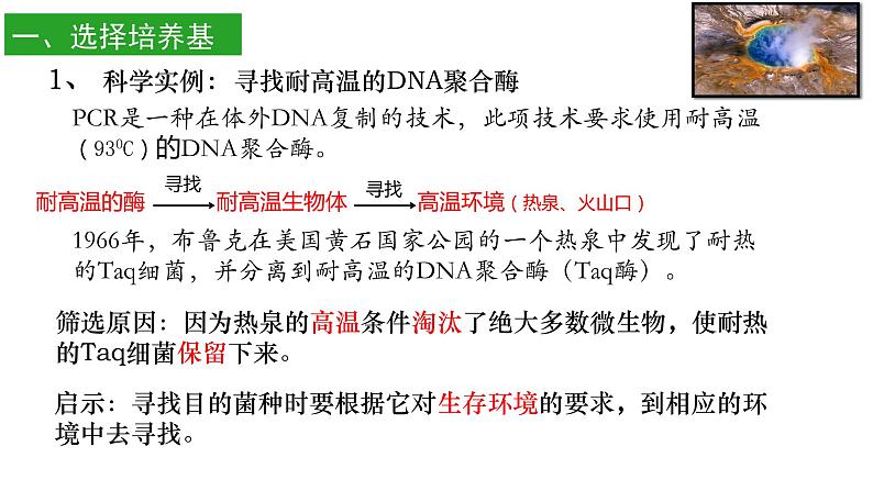 高中生物选择性必修三  1.2 微生物的培养技术及应用（第二课时） 课件04