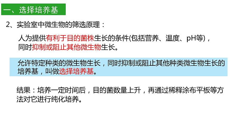 高中生物选择性必修三  1.2 微生物的培养技术及应用（第二课时） 课件05