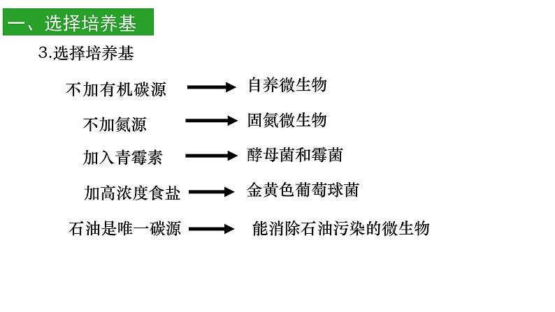 高中生物选择性必修三  1.2 微生物的培养技术及应用（第二课时） 课件06