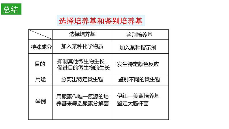 高中生物选择性必修三  1.2 微生物的培养技术及应用（第二课时） 课件07