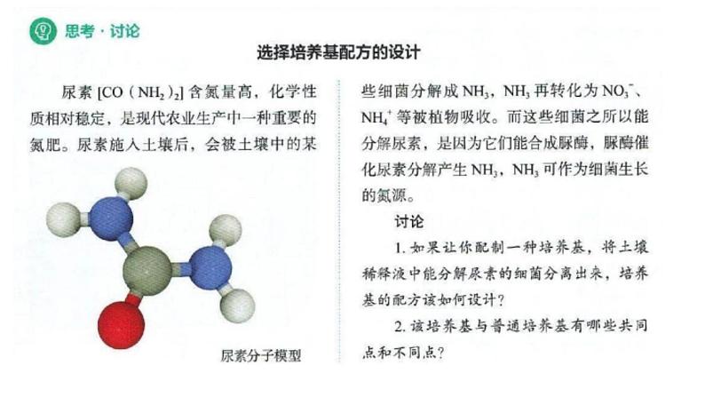 高中生物选择性必修三  1.2 微生物的培养技术及应用（第二课时） 课件08