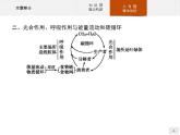 高中生物选择性必修二 课件：第3章　生态系统及其稳定性 本章整合