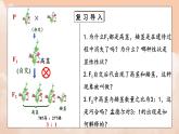 1.1《孟德尔的豌豆杂交实验（一）》第二课时课件+教案