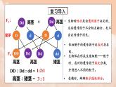 1.1《孟德尔的豌豆杂交实验（一）》第二课时课件+教案