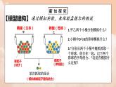 1.1《孟德尔的豌豆杂交实验（一）》第二课时课件+教案