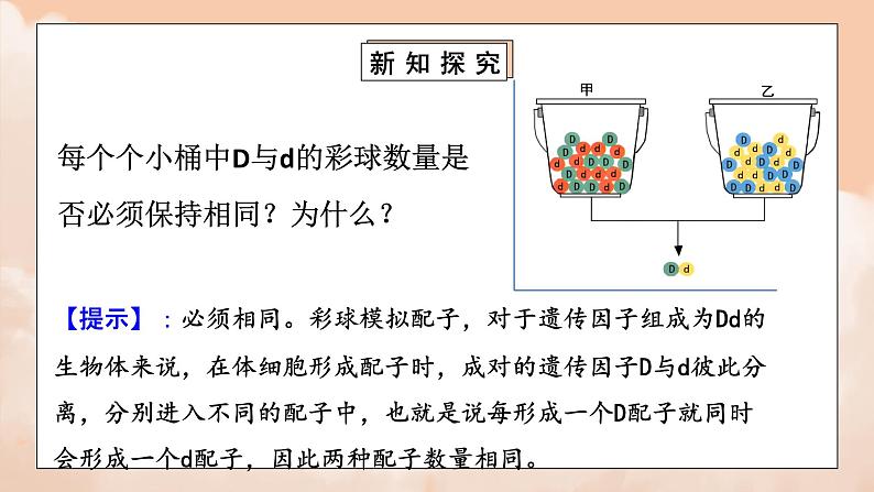 1.1《孟德尔的豌豆杂交实验（一）》第二课时课件+教案07