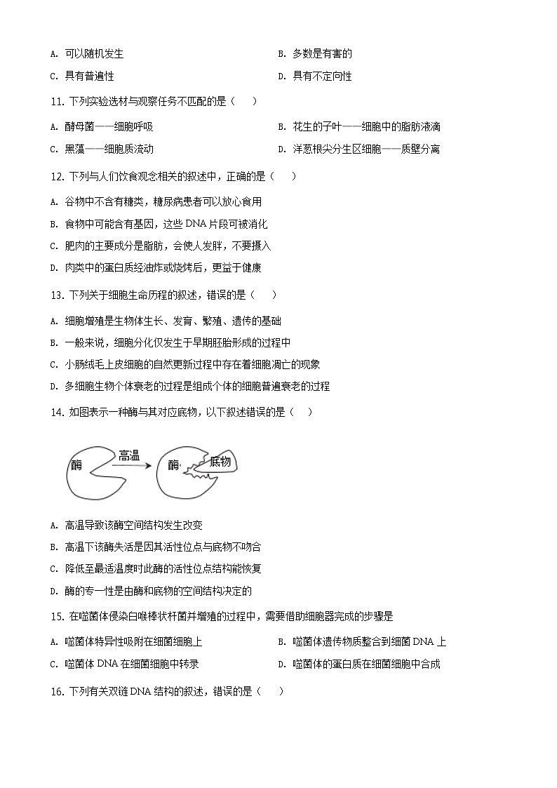 高中生物第二册 精品解析.辽宁省大连市旅顺口区2019-2020学年高一下学期期末生物试题（无答案）03