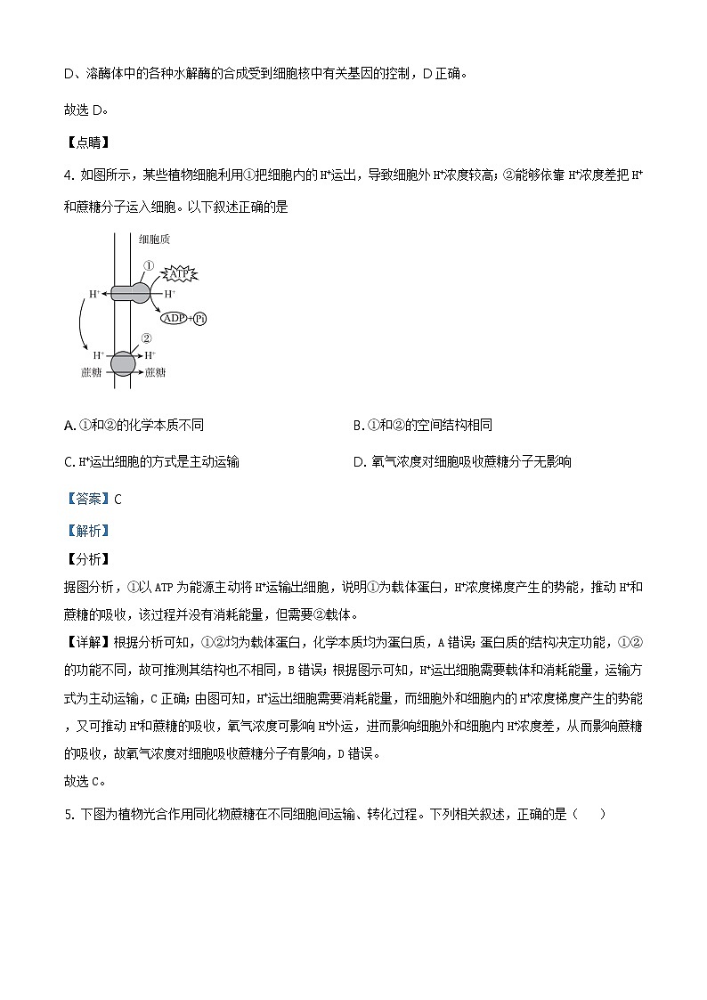 高中生物第二册 精品解析.辽宁省大连市瓦房店市高级中学2019-2020学年高一下学期期末生物试题（含答案）第3页