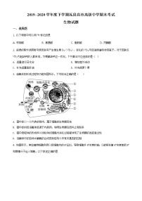 高中生物第二册 精品解析.辽宁省大连市瓦房店市高级中学2019-2020学年高一下学期期末生物试题（无答案）