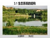 高中生物选择性必修二 高中生物选择性必修2    3.1生态系统的结构 课件