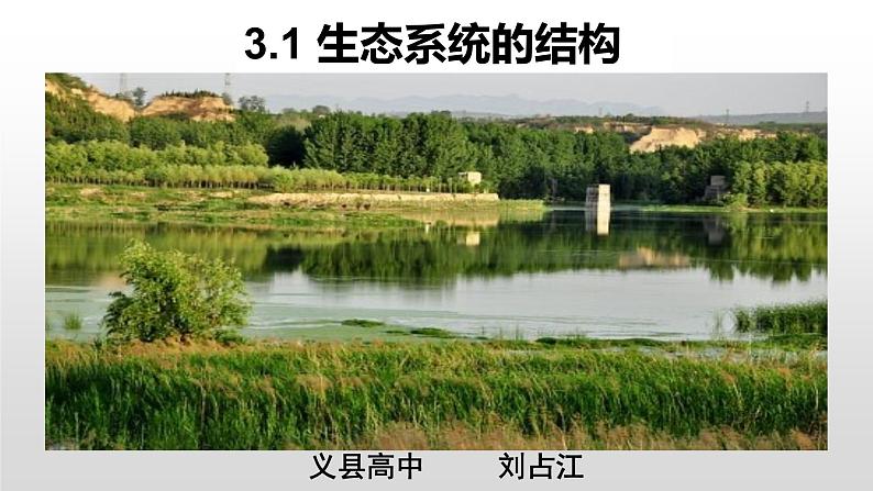 高中生物选择性必修二 高中生物选择性必修2    3.1生态系统的结构 课件01