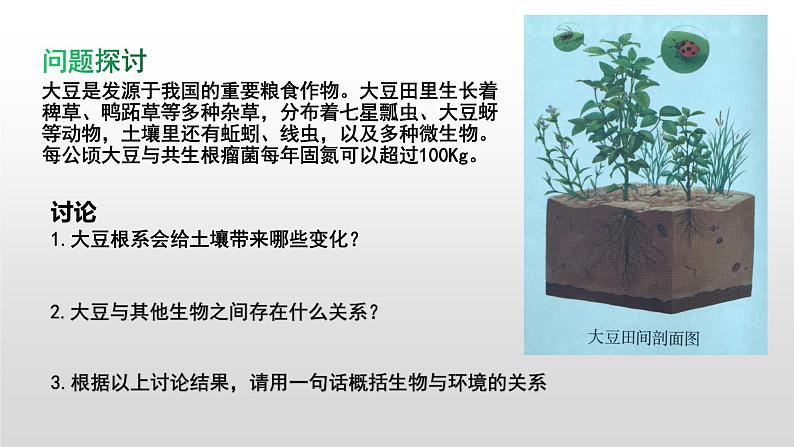 高中生物选择性必修二 高中生物选择性必修2    3.1生态系统的结构 课件02