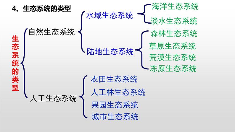 高中生物选择性必修二 高中生物选择性必修2    3.1生态系统的结构 课件06