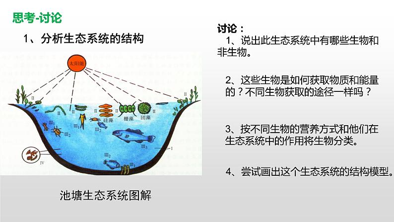高中生物选择性必修二 高中生物选择性必修2    3.1生态系统的结构 课件07